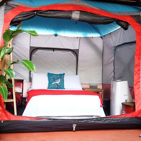 Panama House Bed & Breakfast Екстер'єр фото