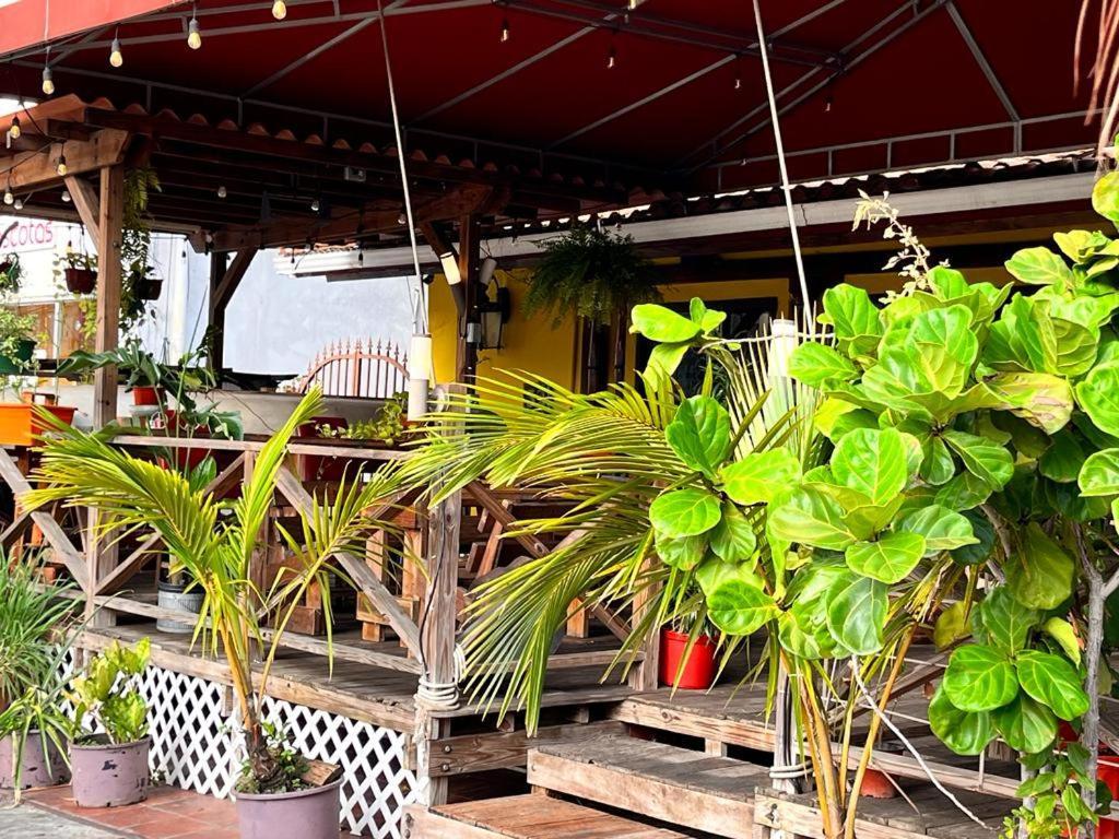 Panama House Bed & Breakfast Екстер'єр фото