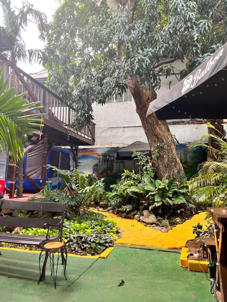 Panama House Bed & Breakfast Екстер'єр фото