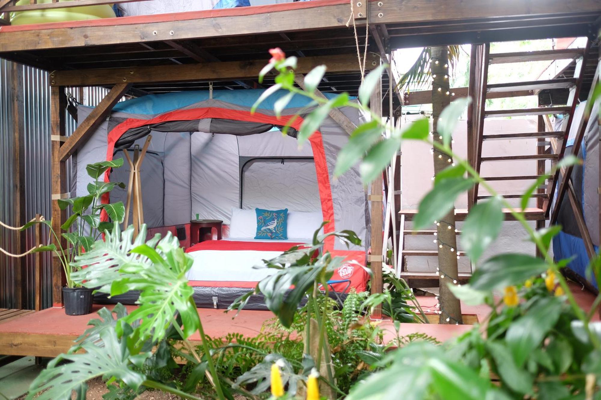 Panama House Bed & Breakfast Екстер'єр фото