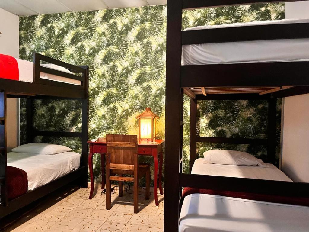 Panama House Bed & Breakfast Номер фото
