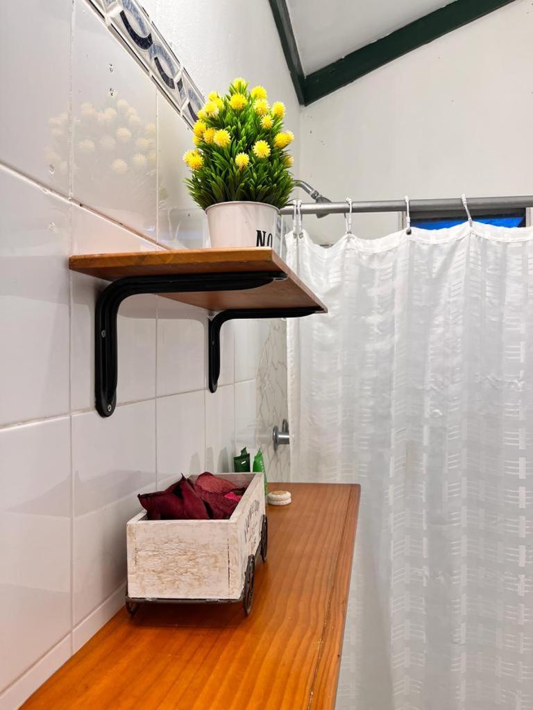Panama House Bed & Breakfast Номер фото