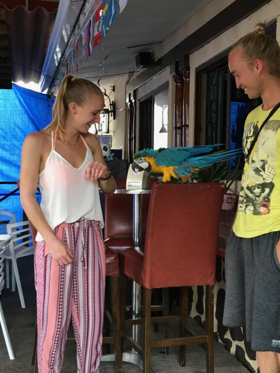 Panama House Bed & Breakfast Екстер'єр фото